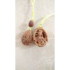 金魚(yú)掛墜